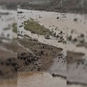 Şanlıurfa’da korkutan ama bir o kadar da sevindiren görüntü!