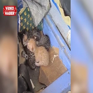 Şanlıurfa’da motorun içinden gelen ses her şeyi değiştirdi! Hava tutacaktı, hayat kurtardı