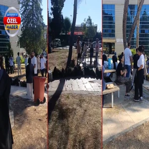 Şanlıurfa’da öğrencileri yıkan haber! Tek sığınakları da yıkılıyor