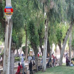 Şanlıurfa'da vatandaşlar çareyi orada buldu!