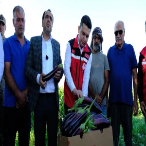Şanlıurfa'dan tüm Türkiye’ye sevk ediliyor! Kapışılan lezzet…