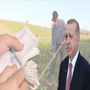 Şanlıurfalı çiftçiye müjdeyi Cumhurbaşkanı Erdoğan verdi: Dev destek…