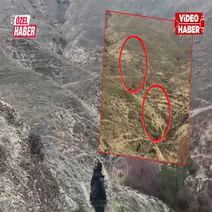 Şanlıurfalı doğaseverlerin yürüyüşünde adrenalin tavan yaptı! Bir anda fırladılar…