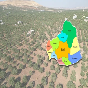 Şanlıurfalı eski başkanın dudak uçuklatan mal varlığı! Urfa’da fıstık bahçesi…