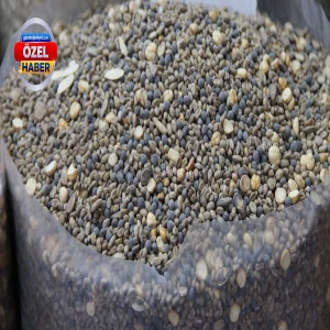 Şanlıurfa’nın geleneksel lezzeti çekirdeği geride bıraktı: Fiyatı 400 TL'yi buldu!