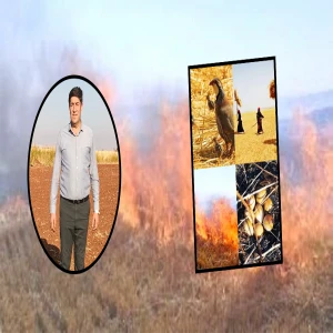 Şanlıurfa’da anızdan daha büyük tehlike! Sıcak hava alarmı