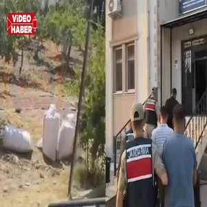 Şanlıurfa’da pes dedirten hırsızlık! Evin bahçesinden 1 tondan fazla fıstık çaldılar