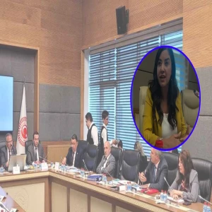 Okul saldırıları komisyonunda Şanlıurfa çıkışı! "Çocukları koruyan politikalar şart"