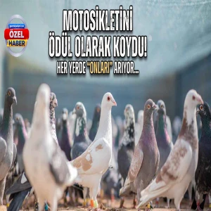 Şanlıurfa’da kuşlarını getirene altındaki motoru hediye ediyor!