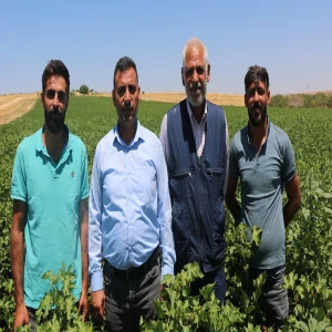 Şanlıurfa’da çiftçilerin feryadı! “Destekler su parasını bile karşılamıyor”