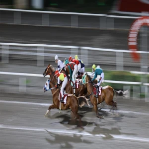 Siverek’te nefes kesen koşunun galibi belli oldu!