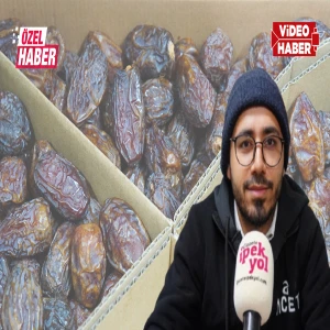 Şanlıurfa'daki hurmaların menşei İsrail mi Mısır mı?