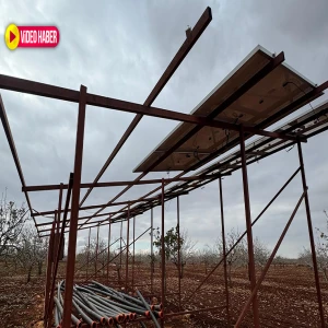 Şanlıurfa’da sis perdesi altında hırsızlık! Çiftçi neye uğradığını şaşırdı