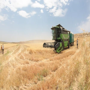 Arpa ve mısırda yeni dönem! Tarife kontenjanında büyük artış