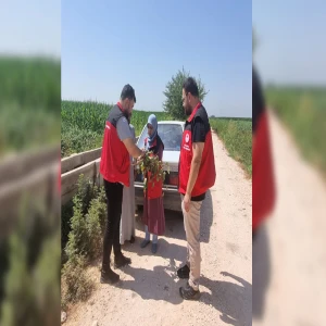 Şanlıurfalı üreticilere sahada tarım desteği