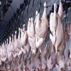 Ramazan öncesi bakanlık harekete geçti: Tavuk ihracatı durduruluyor