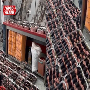 Şanlıurfa’da çekilen görüntüler gündem oldu! “Skandal” diyenlere tepki gecikmedi