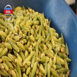 Tezgahlarda 60 TL’den başlıyor! Şanlıurfa’nın yeşil altını kış öncesi yok satıyor