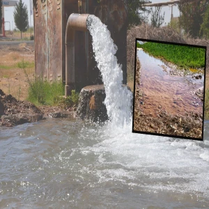 Şanlıurfa’da yasaklı ekim kaçak elektriği rekor seviyeye çıkardı! 15 milyar TL…