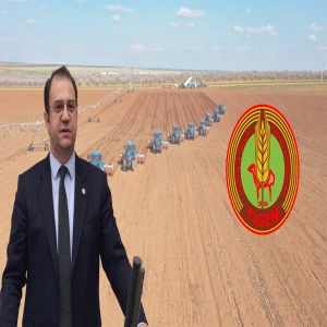 Şanlıurfa’da 200 milyonluk fıstık vurgunu iddiası! Meclis’e taşındı…