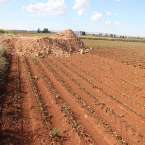 Urfa’da kaçak yapılaşmaya darbe! Milyonlarca lira ceza…