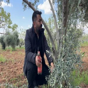 Urfa’da uzmanından bahar bakımında hayati uyarı: Bu hata verimi yarı yarıya düşürüyor!