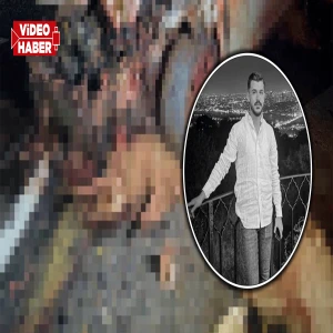 Şanlıurfa'da gece yarısı korkunç kaza! Otomobil sürüye daldı: 1 kişi öldü