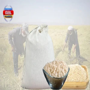 Volkanik toprakların mucize pirincinde hasat vakti! Siverek'ten dünyaya…