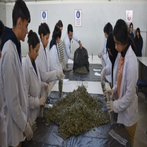 Siverek’te gençler toprağa umut ekiyor