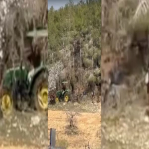 Şanlıurfa'da ormanda endişe veren çalışma: 'Kaçak' değil ihale usulü kesim...