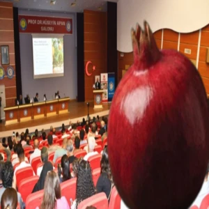 Çiftçilere davet var: Nar üreticileri Harran Üniversitesi'nde buluşacak