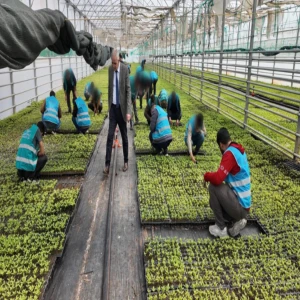 Şanlıurfa’da 'tarımla' onarıcı adalet modeli: Hem eğitici hem iyileştirici!