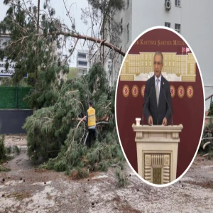 Süper hücrenin izleri devlet eliyle siliniyor: Vekil Dusak Şanlıurfa'daki son durumu paylaştı