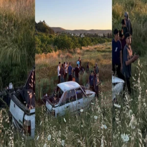 Şanlıurfa'da araç şarampole uçtu! Yaralılar var...