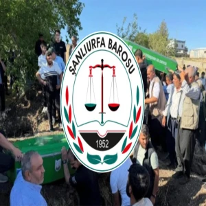 Şanlıurfalı 3 kardeşin acı sonu yürek yaktı: Şanlıurfa Barosu'ndan önemli çağrı!