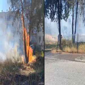 Şanlıurfa'da yangın: Birden başladı, ağaçlara sıçradı
