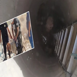 Şanlıurfa İtfaiyesinden kurtarma operasyonu: Günlerdir aranıyordu, kuyudan çıktı...