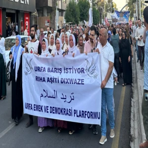 1 Eylül Dünya Barış Günü'nde mesaj: "Urfa barış istiyor"