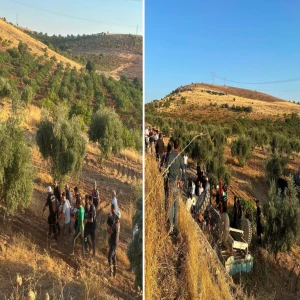 Şanlıurfa'da traktör devrildi: Yaralı var