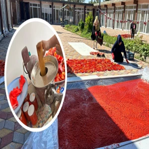 Şanlıurfa'da belediyeden kadınların kış mesaisine destek... Tüm kadınlara davet