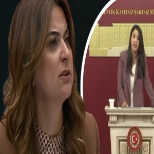 Siverek'te dava, Ankara'da tepki... Kadın vekiller ses yükseltti