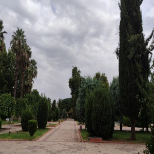 Şanlıurfalılar pazar sabahına büyük bir sevinçle uyandı!