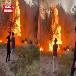 Şanlıurfa'da ağaçlık alanda korkutan yangın! Mahalleli seferber oldu