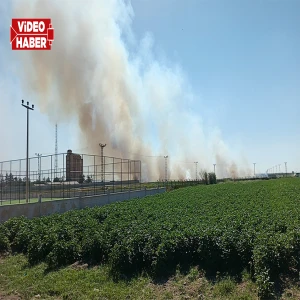 Şanlıurfa sınırında korku dolu anlar: Mayınlı alanda yangın