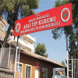 Şanlıurfa'da otomobilin çarptığı yaya can verdi!