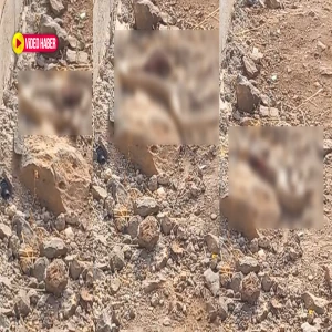 Mevsimler şaştı, o da şaşırdı! Şanlıurfa’da dehşete düşüren görüntü...