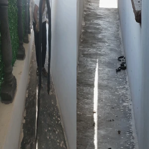 Şanlıurfa'da evin bahçesinde çocuklar gördü! Dev karayılan yürekleri ağza getirdi