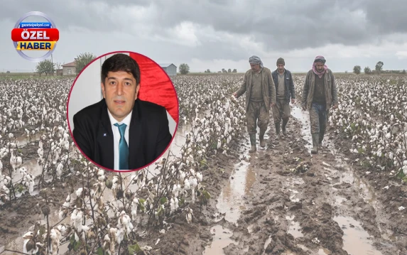 Sağanak yağış Şanlıurfa tarımını nasıl etkiledi? Uzman isim tek tek açıkladı!