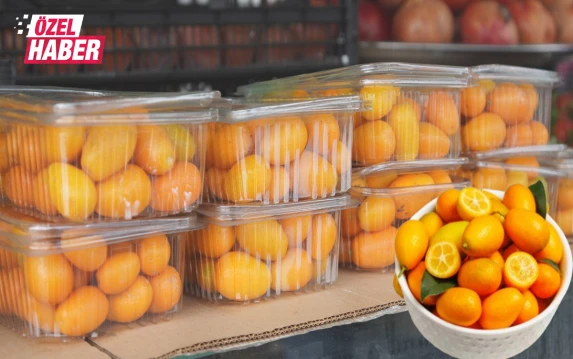 Çinlilerin vazgeçilmezi Şanlıurfa’da: Yılın sadece birkaç ayı yetişiyor! Tam bir şifa deposu