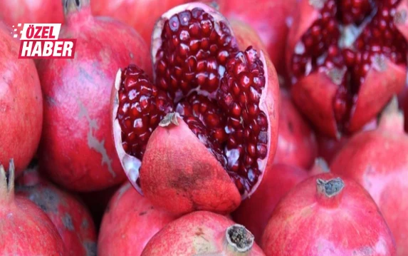 Şanlıurfalıların tescilli lezzeti: Bağışıklıktan kalbe faydaları saymakla bitmiyor